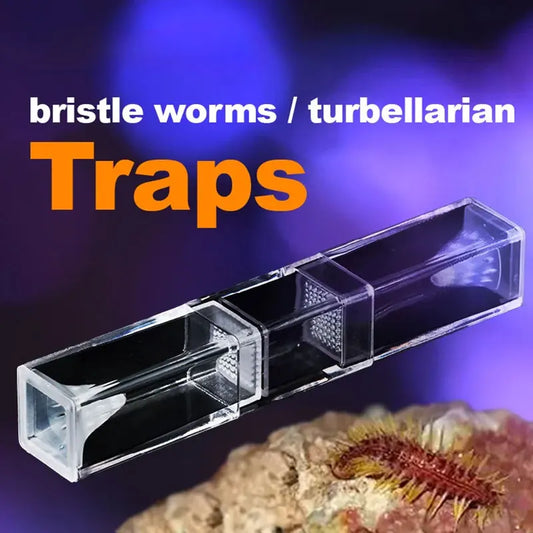 Bristle Worm trap