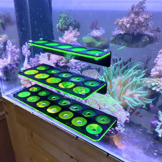 Fluorescent Coral Frag Rack Series