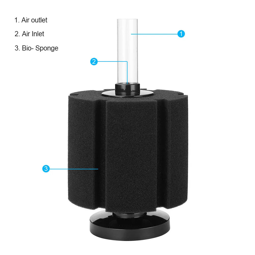 Sponge Filter