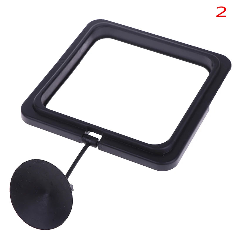 Aquarium Fish Feeding Ring