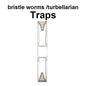 Bristle Worm trap