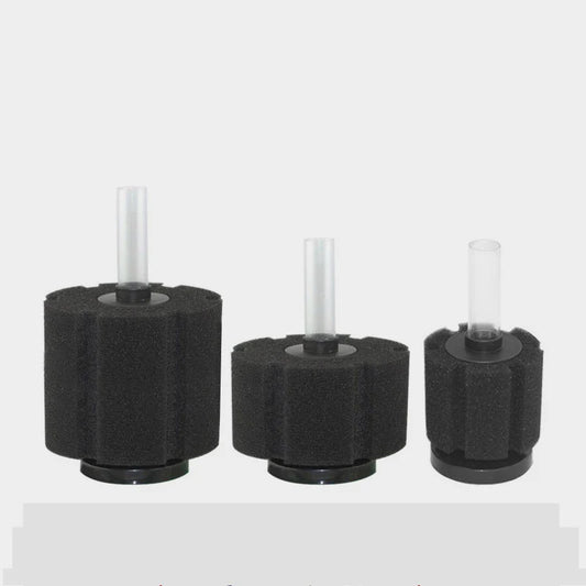 Sponge Filter
