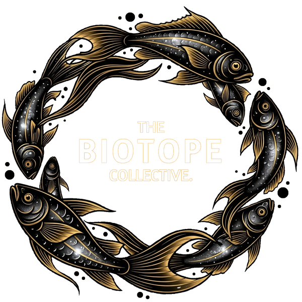 The Biotope Collective