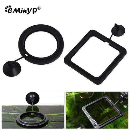 Aquarium Fish Feeding Ring