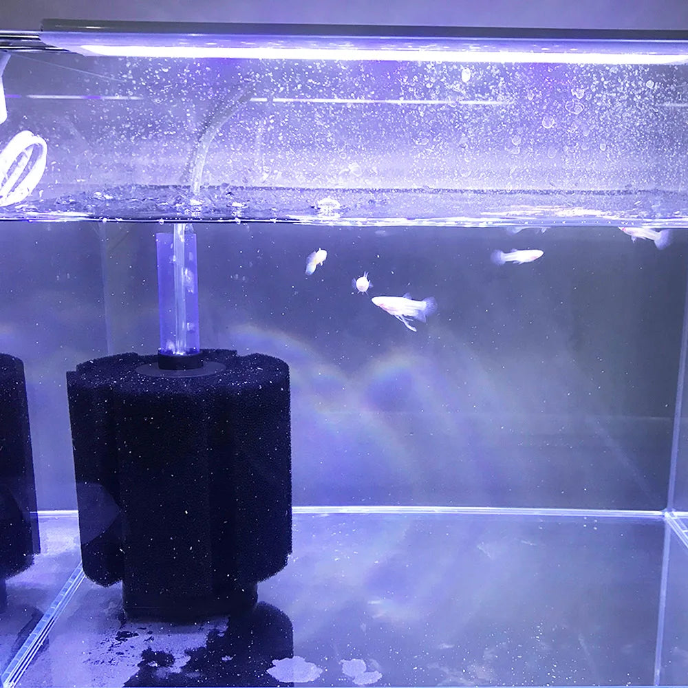 Sponge Filter