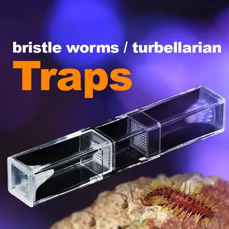 Bristle Worm trap